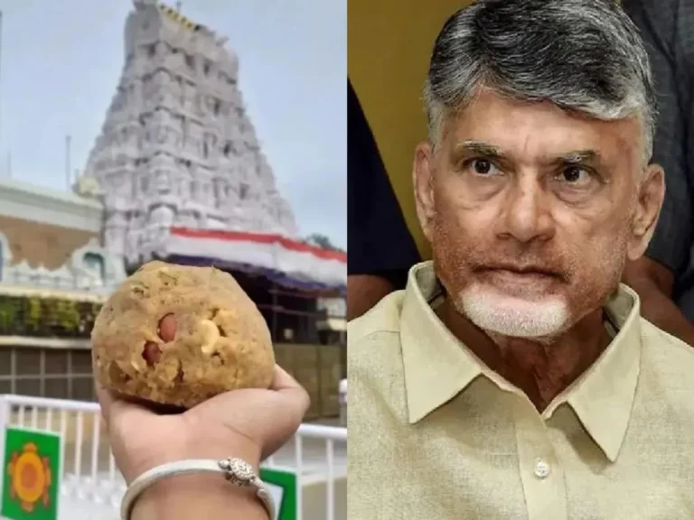 Allegations of animal fat and fish oil being found in Tirupati laddu ghee