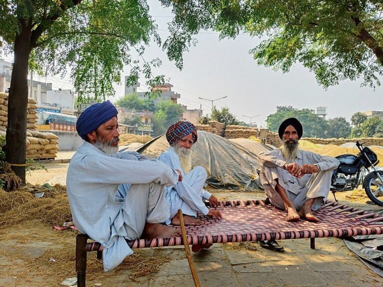Politics behind the purchase of paddy in Punjab-Haryana, farmers to protest from 24th