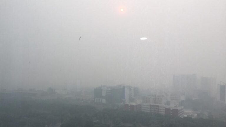 Delhi’s air is so toxic that primary schools had to be closed