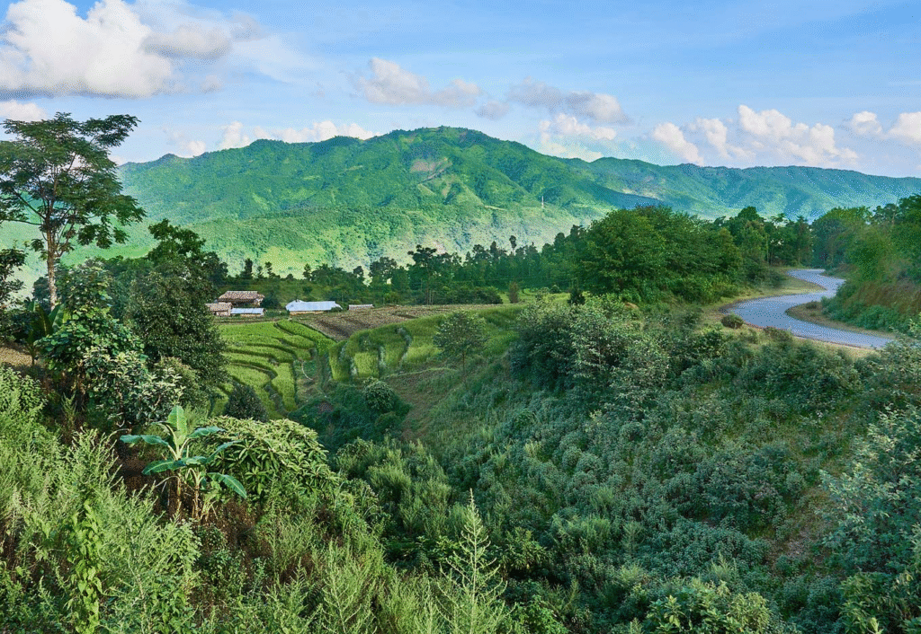 A lush green valley with terraced fields, surrounded by mountains under a clear blue sky.