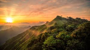 A stunning landscape of lush green hills at sunrise, showcasing nature's beauty and tranquility.